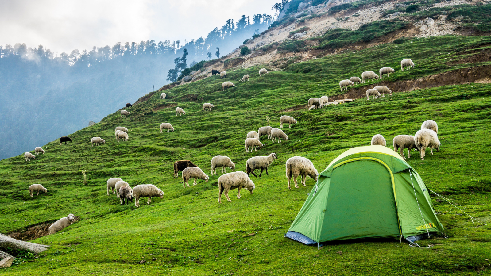 Kangra Tour Image