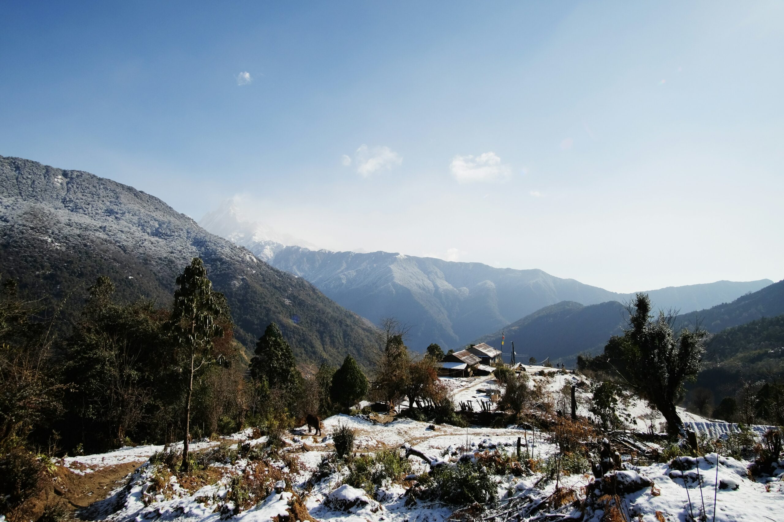 Shimla Tour Image
